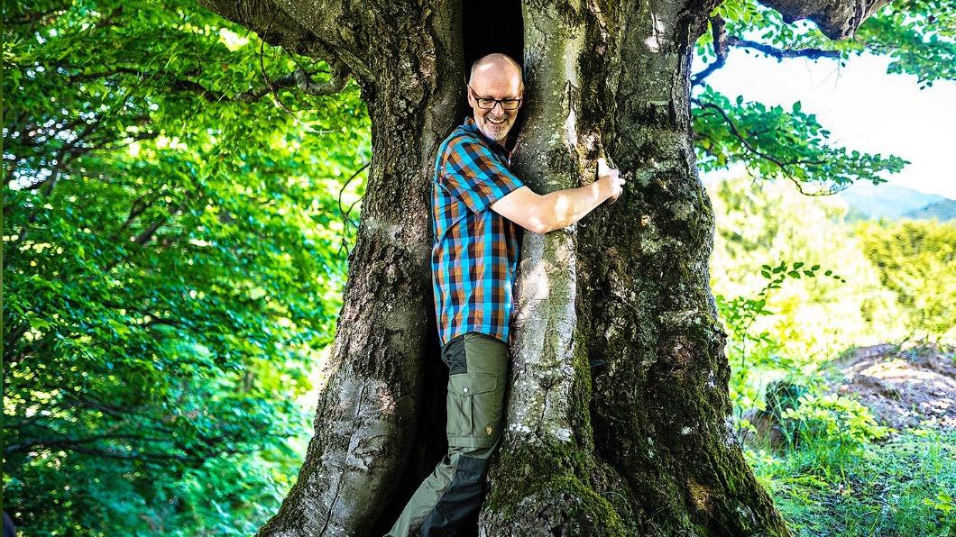 一般人竟能與「樹木」交談？最偉大林務員為原始森林喉舌