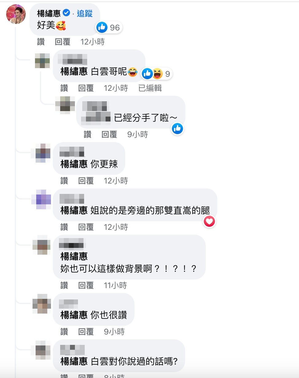 網友詢問楊繡惠。(圖/翻攝自小嫻臉書)