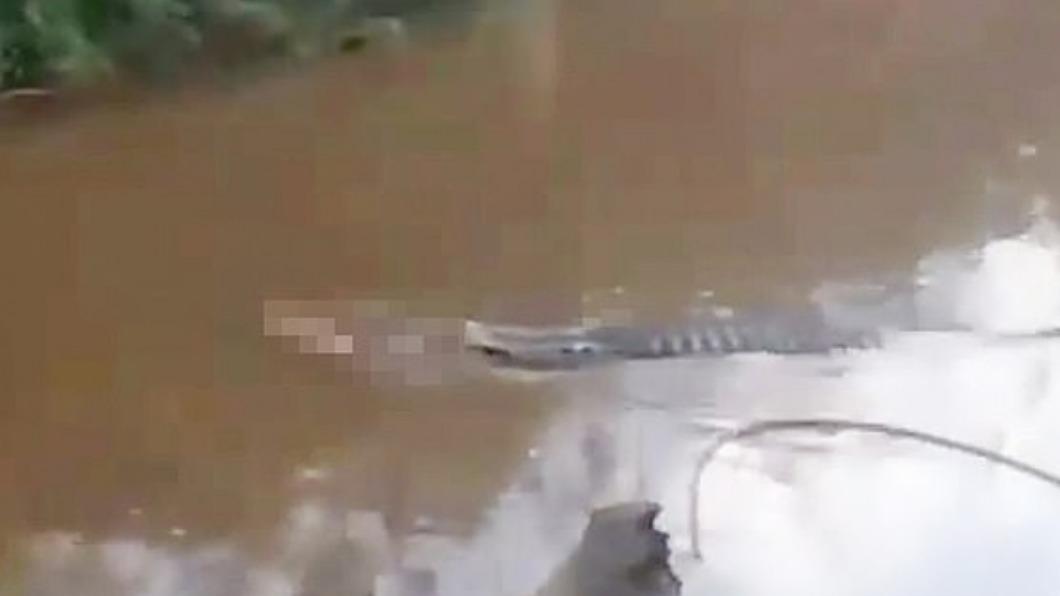 遭鱷魚叼走一半身體!印尼漁夫殘缺屍浮水面 驚悚影片曝