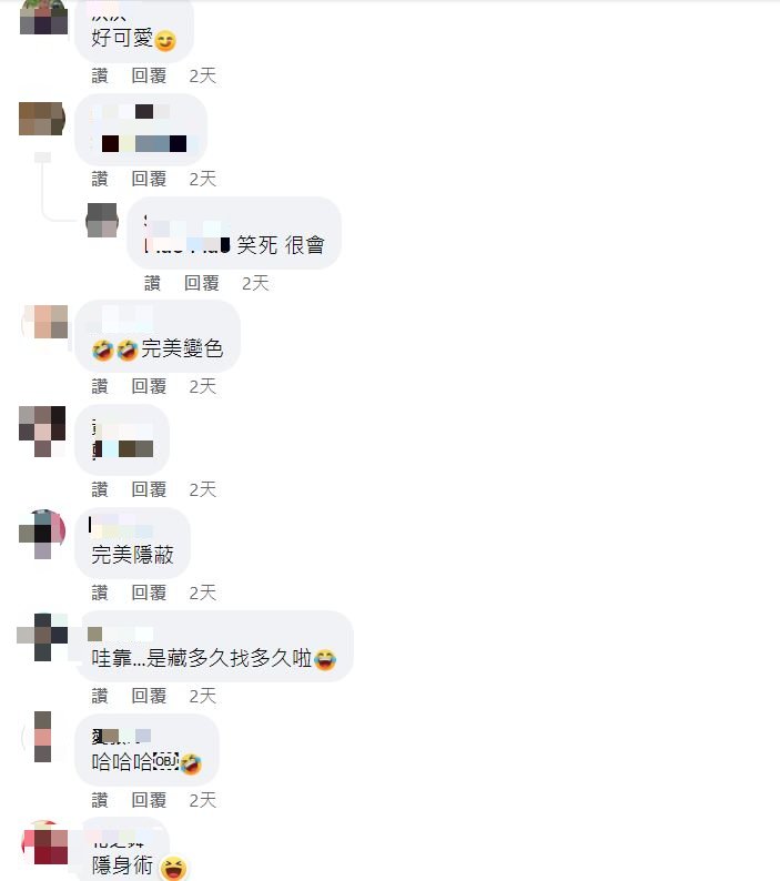 照片曝光後全場笑翻,幽默稱其為「吐司界變色龍」。(圖/翻攝自爆廢公社臉書)