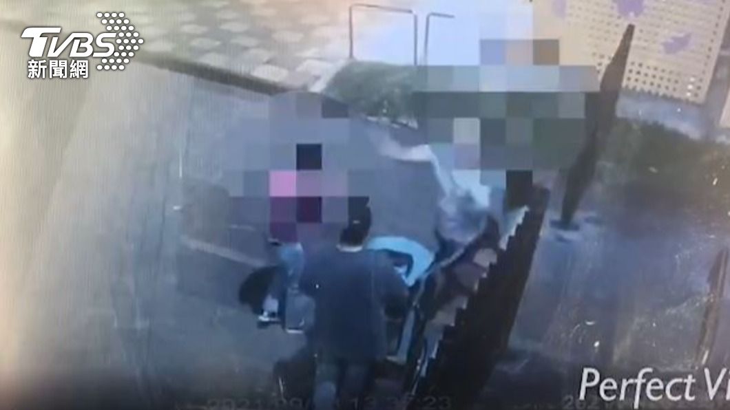 都為了狗!法鬥遭女踹 飼主抄寵物繩鞭打還拳毆