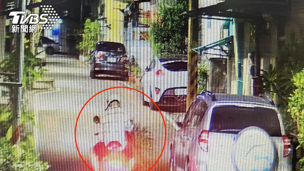 溫男偷走盆栽後揚長而去。（圖／TVBS）