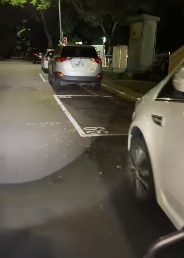 民眾似乎是為了躲避繳費,刻意避開停車格。(圖/翻攝自地圖型行車影像分享平台YouTube)