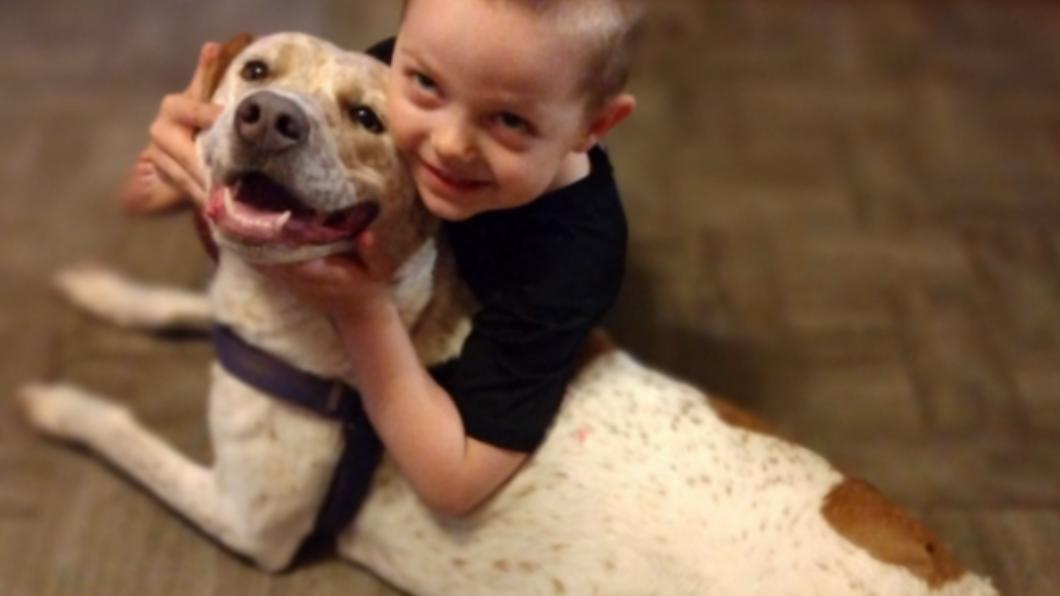 美國5歲男童遭到家犬攻擊。（圖／翻攝自gofundme）