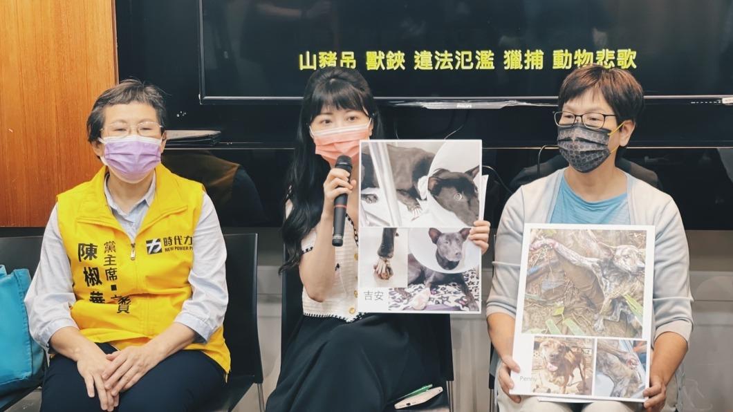 高嘉瑜在上周五也出席記者會。(圖/高嘉瑜辦公室提供)