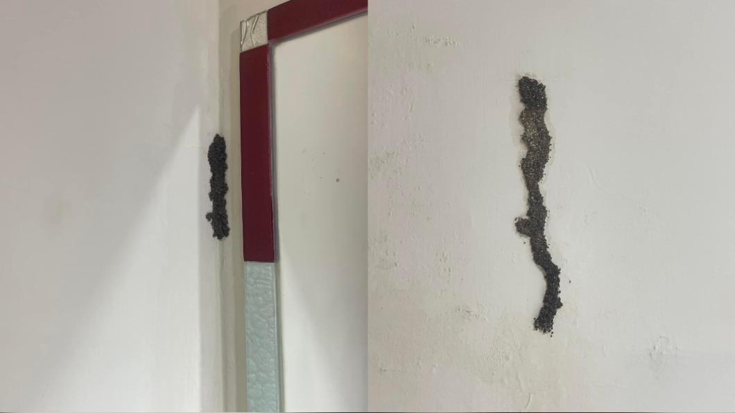 牆壁滲水爬滿「黑色異物」!苦主揭恐怖下場:不妙了