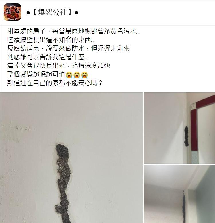 原PO崩潰求助。(圖/翻攝自爆怨公社)
