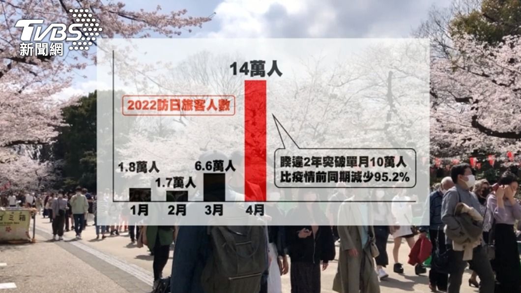 2022年日本官方逐步開放外籍人士入境。(圖/TVBS)