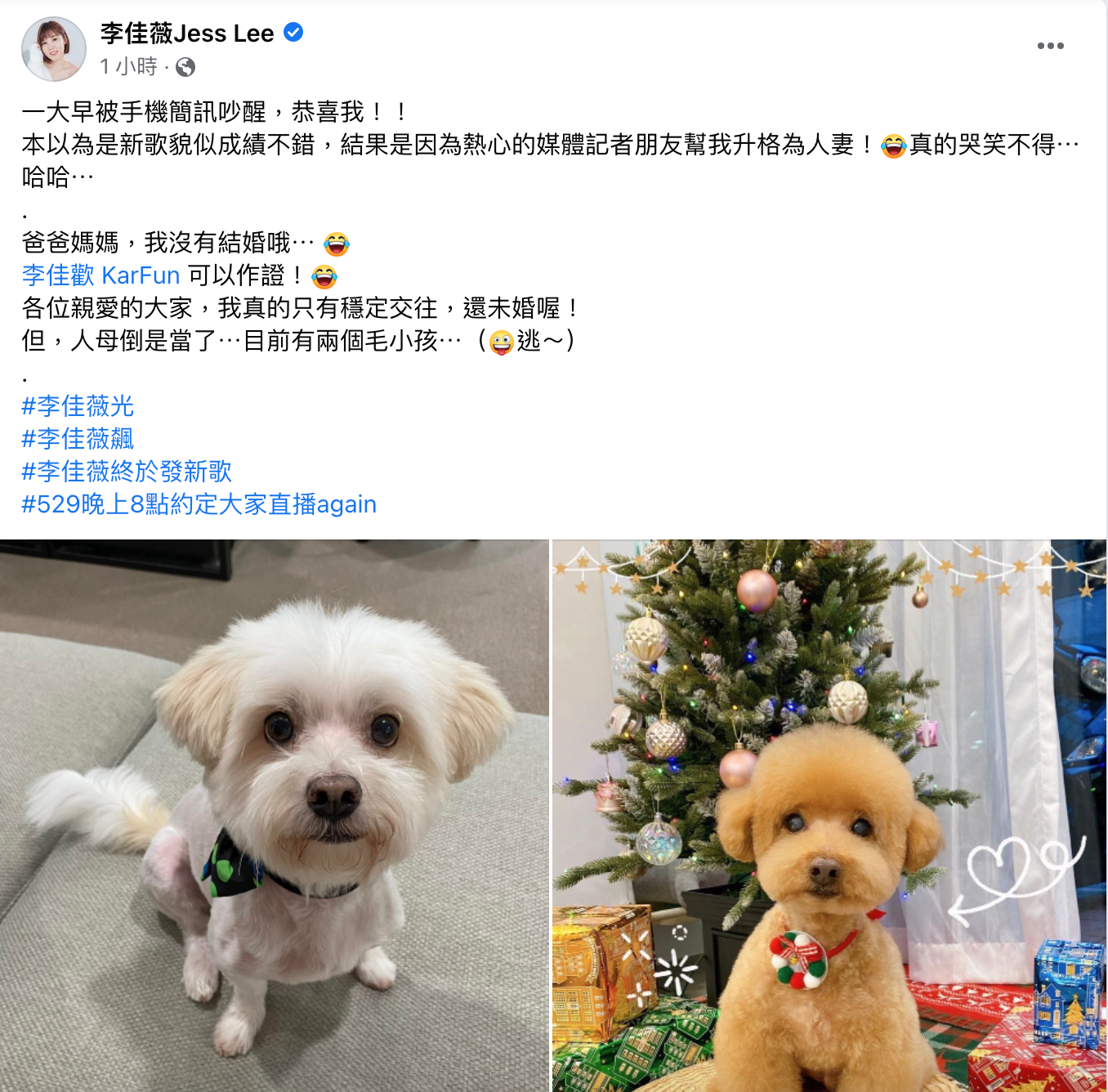李佳薇發文闢謠。(圖/翻攝自李佳薇Jess Lee臉書)