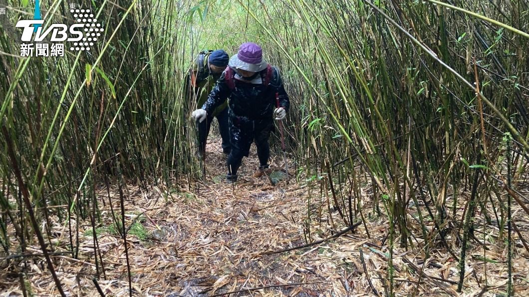登山驚魂記!網友揪團登拾丸山 女遭丟包困箭竹林一夜