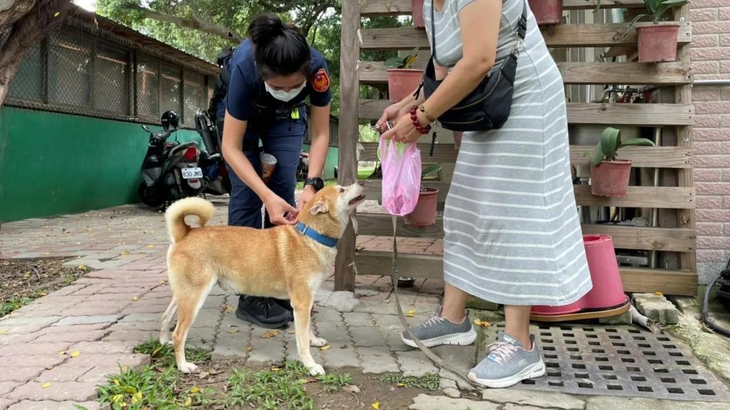 警方順利協助柴犬找回主人。(圖/翻攝自記者爆料網)
