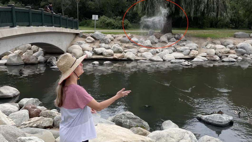 最後的道別!女撒愛犬骨灰竟變狗狗形狀 暖哭一票網友