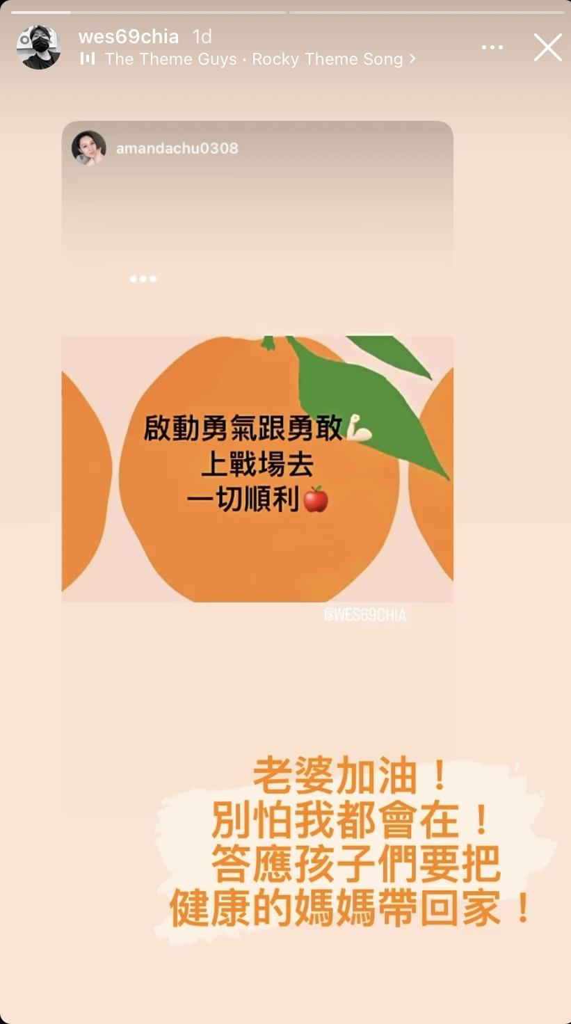 朱芯儀宣告「上戰場」。(圖/翻攝自衛斯理IG)
