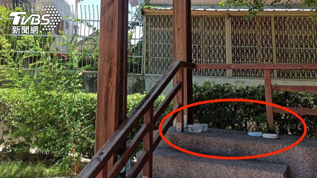 台中驚傳虐貓事件!身軀遭肢解剝皮、臟器外露棄公園走道