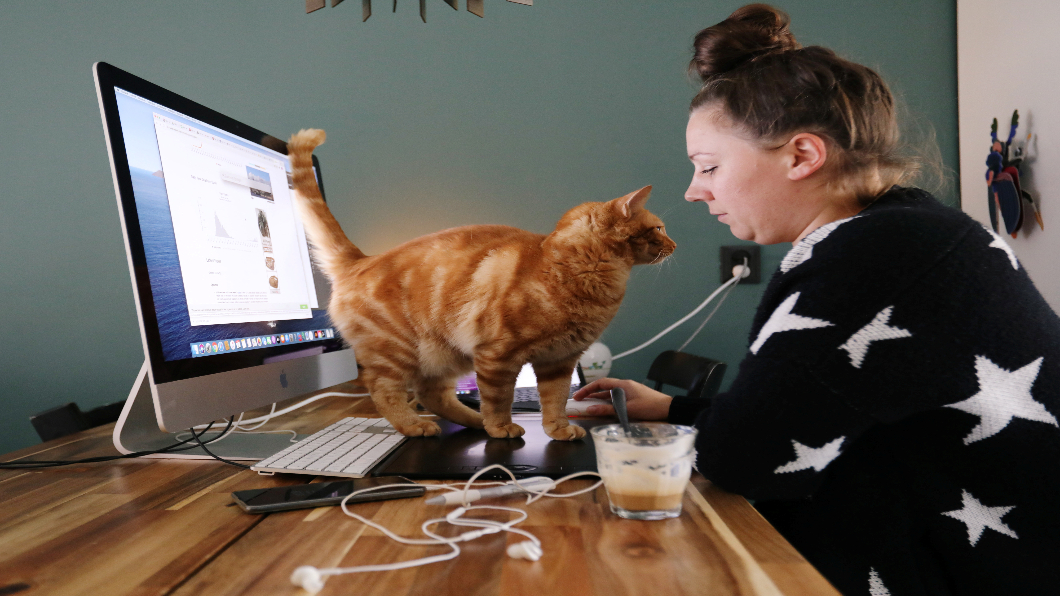 圖/達志影像路透