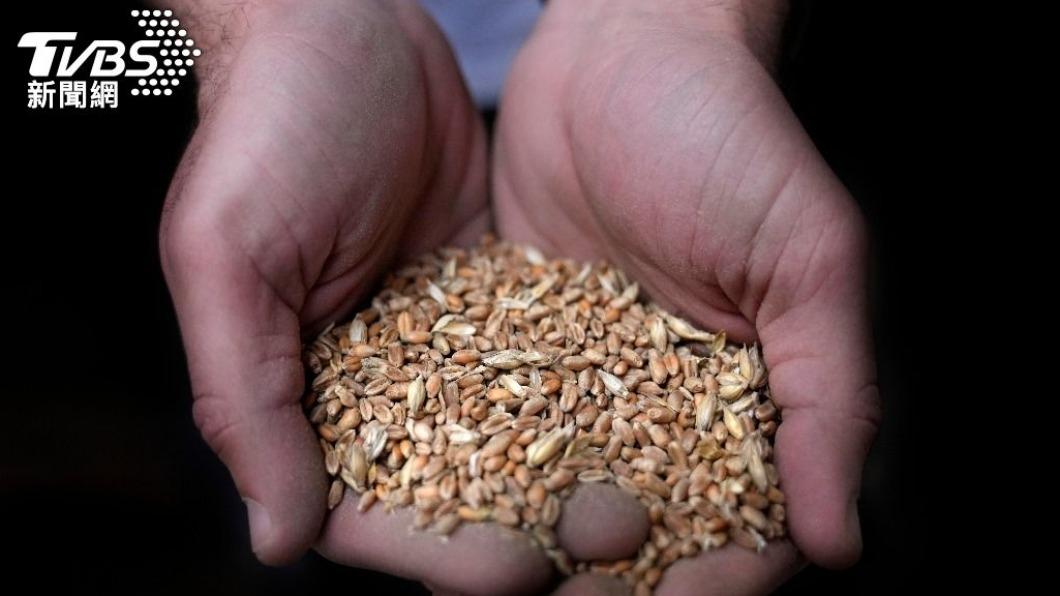 俄烏戰爭重挫全球糧食產業。(圖/達志影像美聯社)