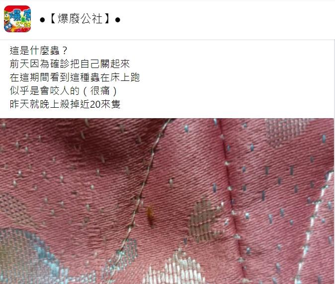 網友崩潰發文求助。（圖／翻攝自爆廢公社）