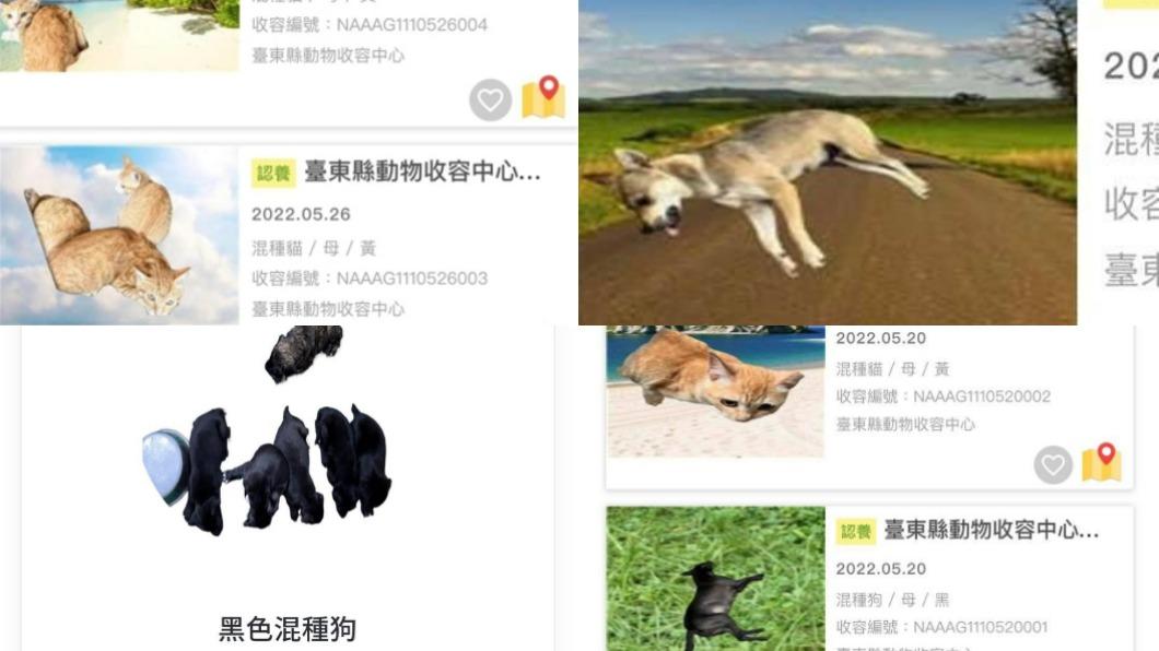各種趣味P圖笑翻網友。(圖/翻攝自臉書)