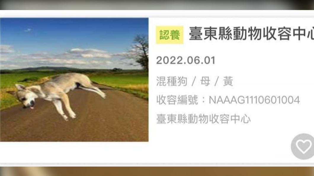 毛小孩都被去背換圖。(圖/翻攝自臉書)