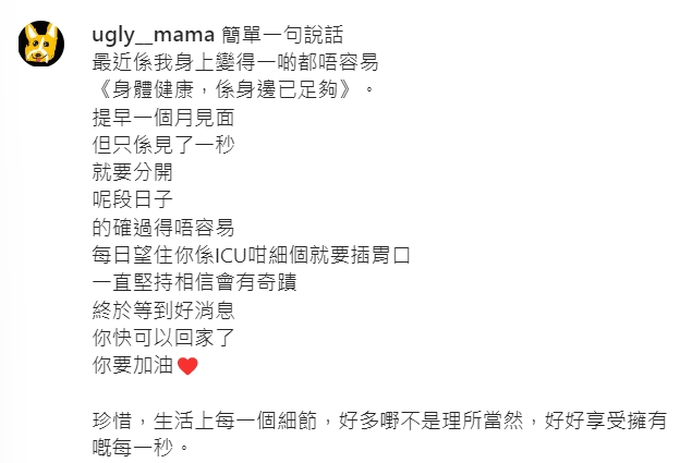 張致恆的妻子透露孩子早產,送進ICU插管。(圖/翻攝自ugly__mama IG)