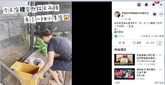 宋逸民家中降落鴿子。（圖／翻攝宋逸民和陳維齡的幸福生活臉書）