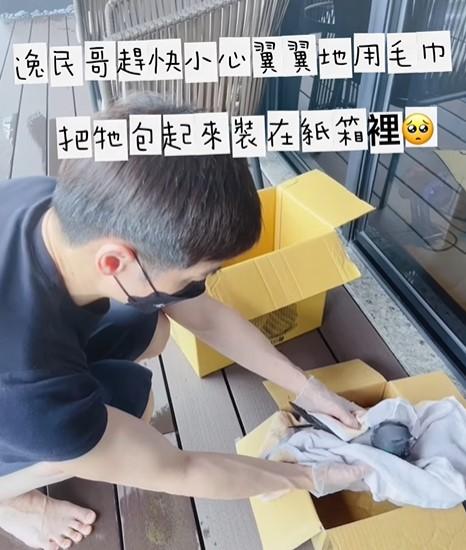 宋逸民家中降落鴿子。（圖／翻攝宋逸民和陳維齡的幸福生活臉書）