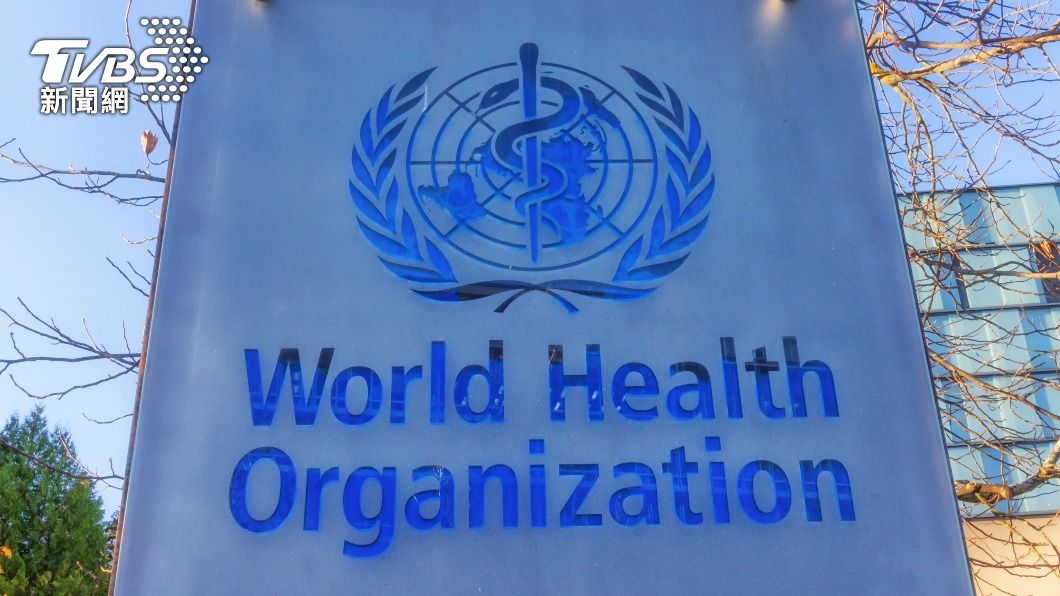 世衛疫情報告公開「源頭仍不明」 對合理假設持開放態度