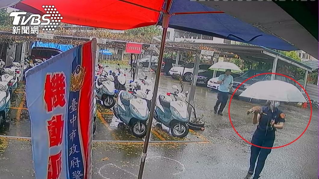 女警伸手救出小奶貓。（圖／TVBS）