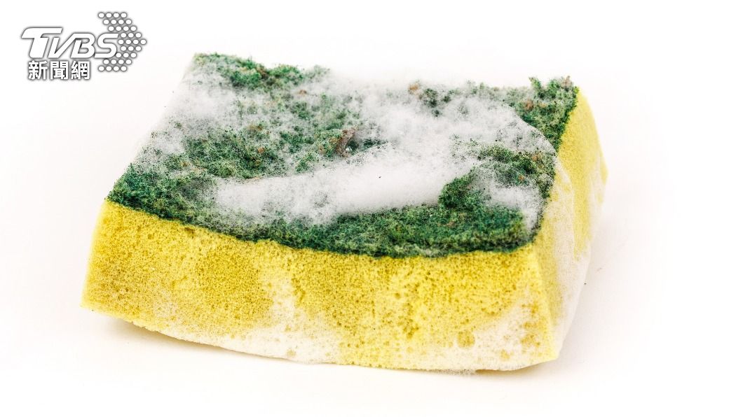 海綿因潮濕還會累積食物殘渣,形同一個「細菌培養皿」。(示意圖/Shutterstock達志影像)