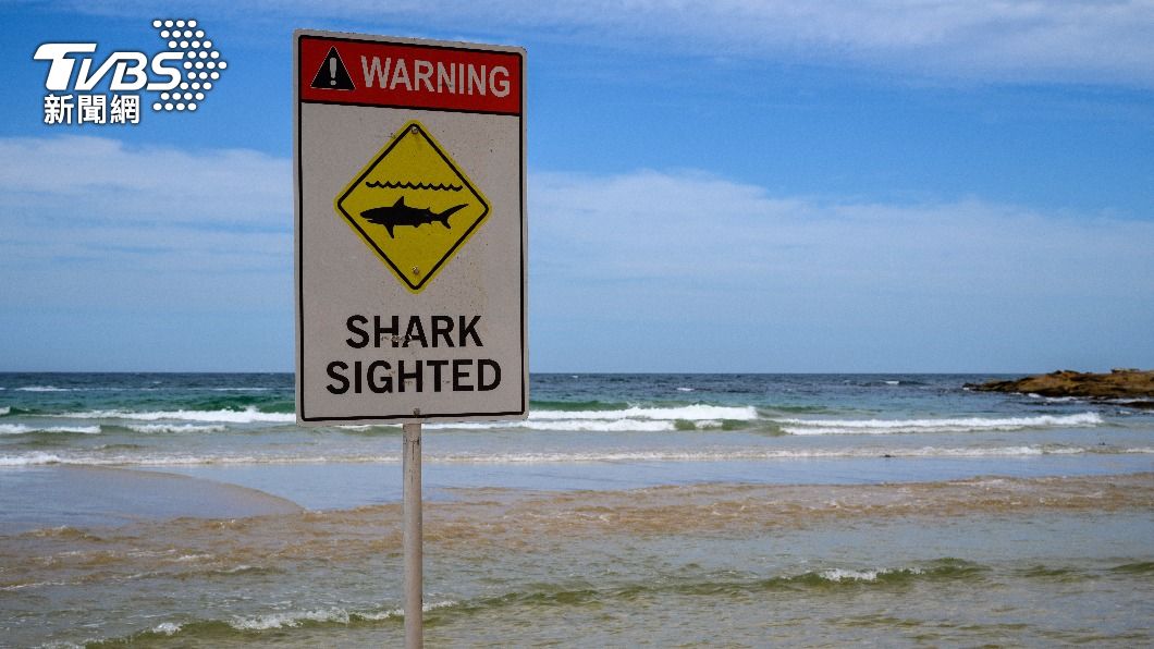 少年無視岸邊鯊魚警告標示執意下水。(示意圖/shutterstock達志影像)