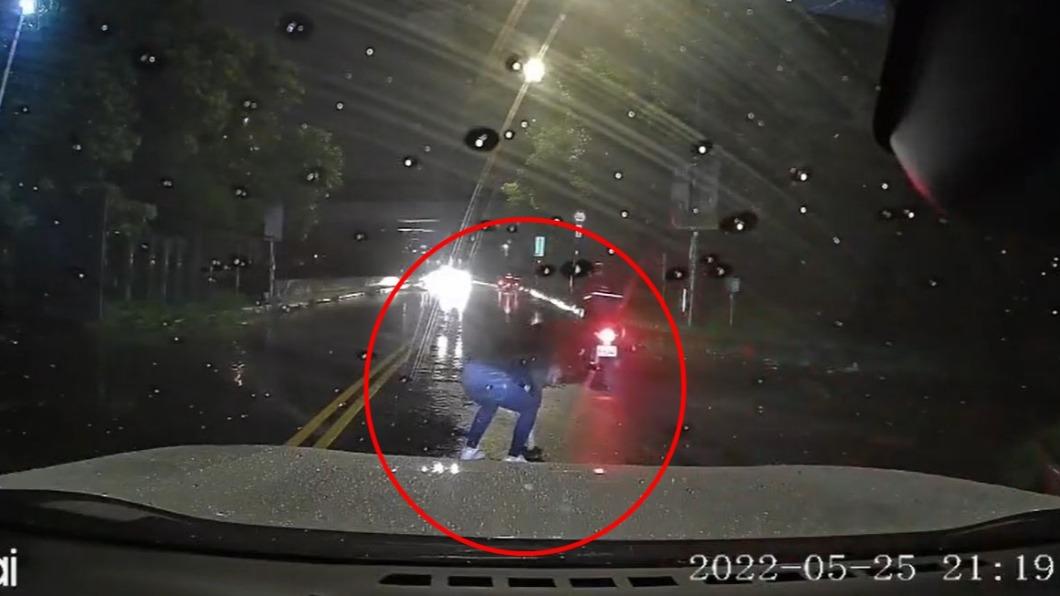 女子下車撿起路中烏龜。(圖/翻攝自爆料公社)