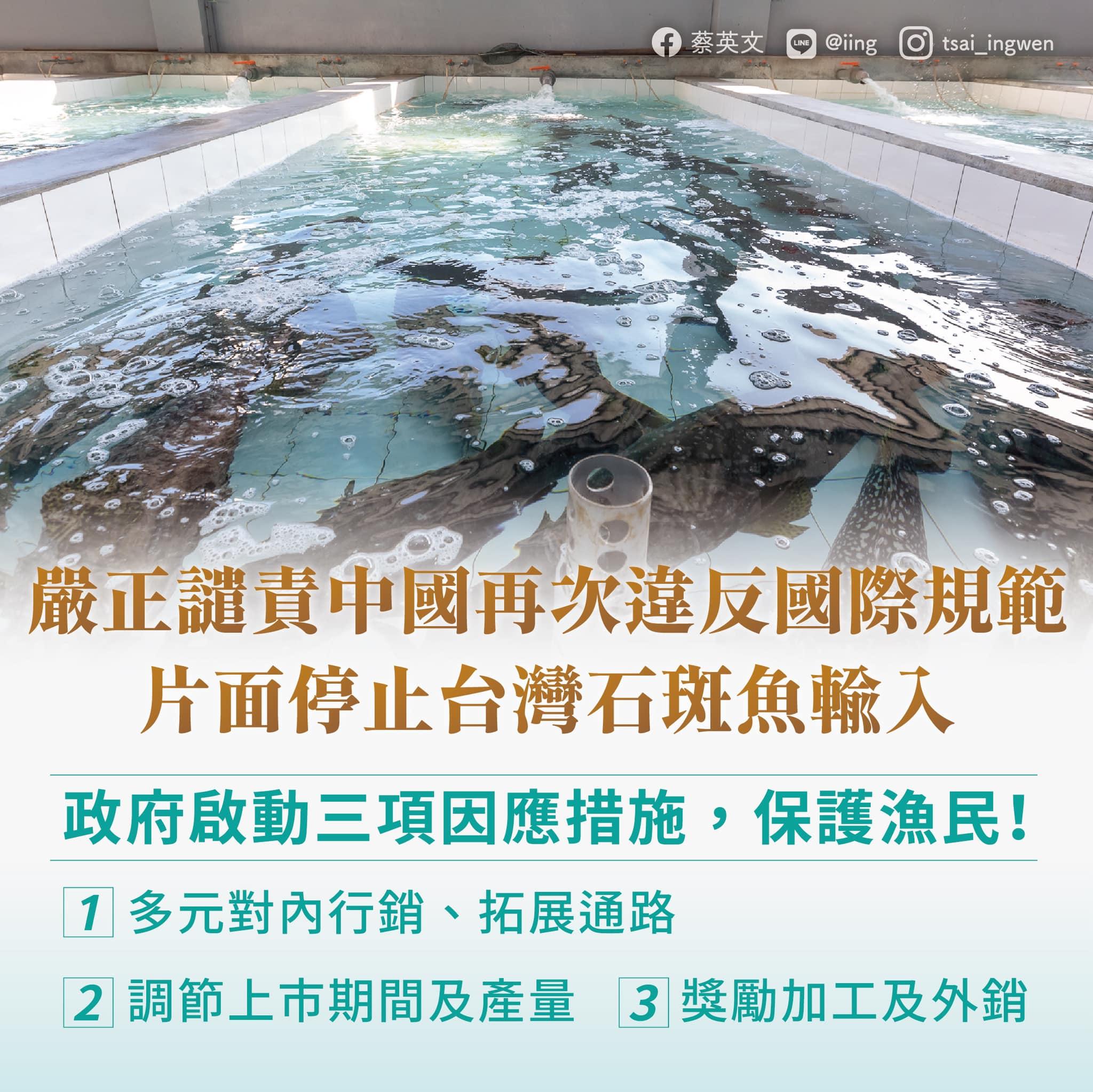 蔡英文譴責大陸片面停止台灣石斑魚輸入。(圖/翻攝自蔡英文臉書)