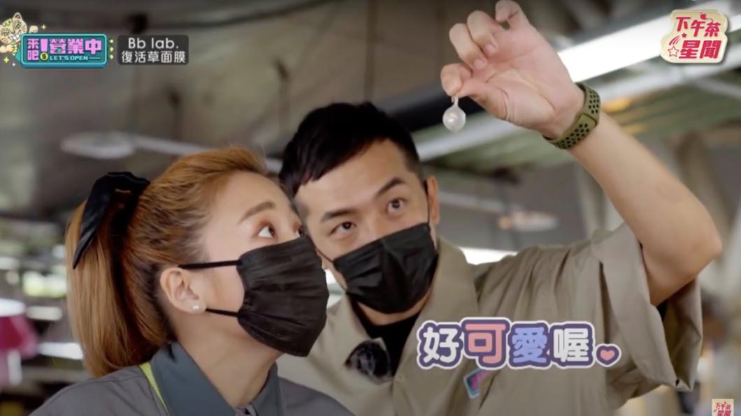鬼鬼和姚元浩觀察花枝蛋。(圖/翻攝自《來吧!營業中》節目片段)