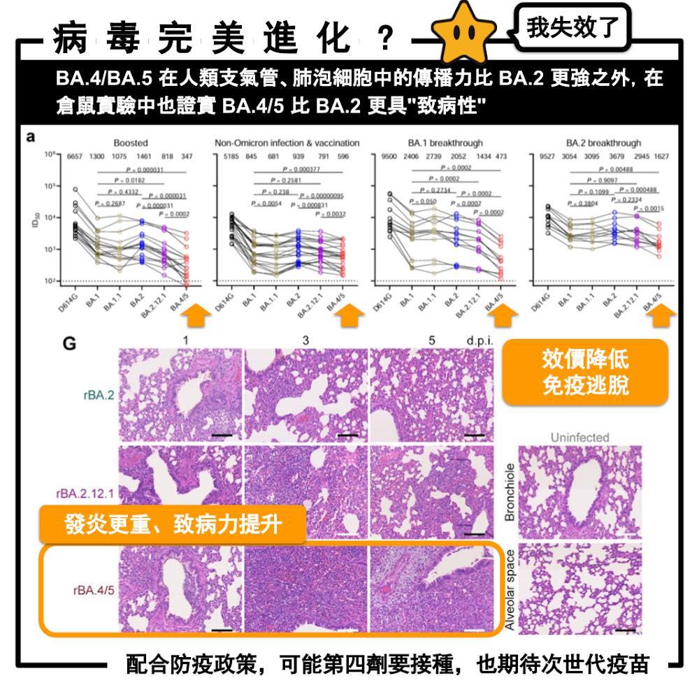 醫師指出BA.4、BA.5更具致病性。(圖/翻攝自姜冠宇臉書)