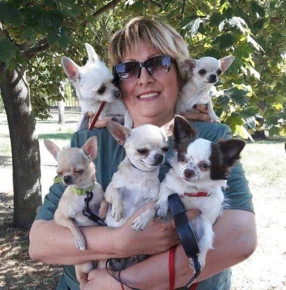 佩特羅娃在戰爭前經營犬舍,擁有幸福的生活。(圖/翻攝自Ирина Петрова臉書)