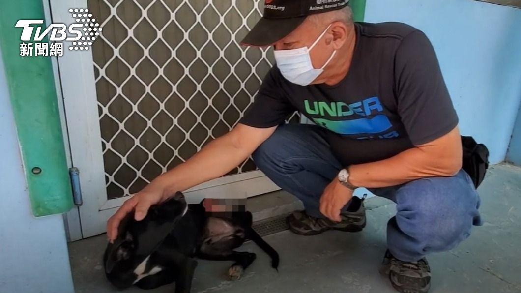 狗狗左腳疑似遭利刃切斷見骨。(圖/台灣動物緊急救援提供)