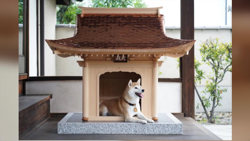 日本推出400萬狗屋「犬殿」　網友傻眼：比我家還貴