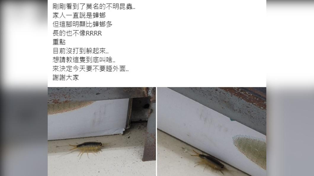網友在家中發現怪蟲，嚇到想睡外面。（圖／翻攝自臉書社團爆系知識家）