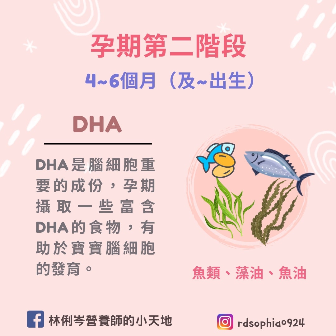 DHA有助於寶寶的頭腦發育。(圖/翻攝自林俐岑營養師的小天地臉書)