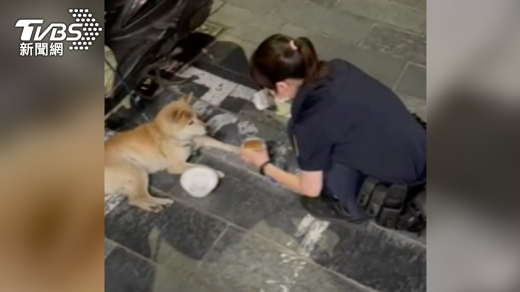 男酒後騎車苦尋愛犬！結果「柴犬不願回家」還被員警攔查