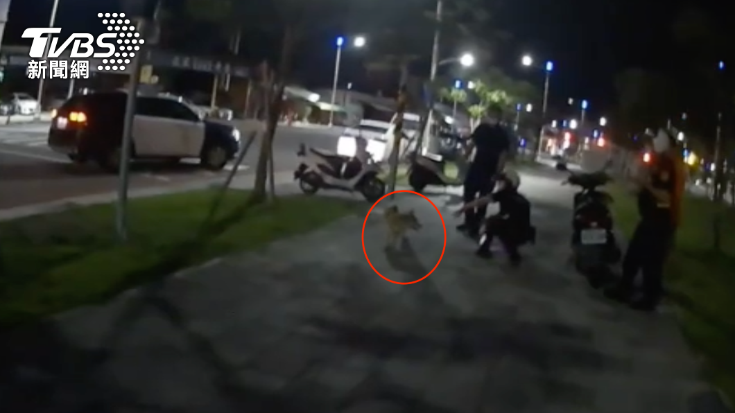 老翁在愛犬常散步的地方找到牠。(圖/TVBS)