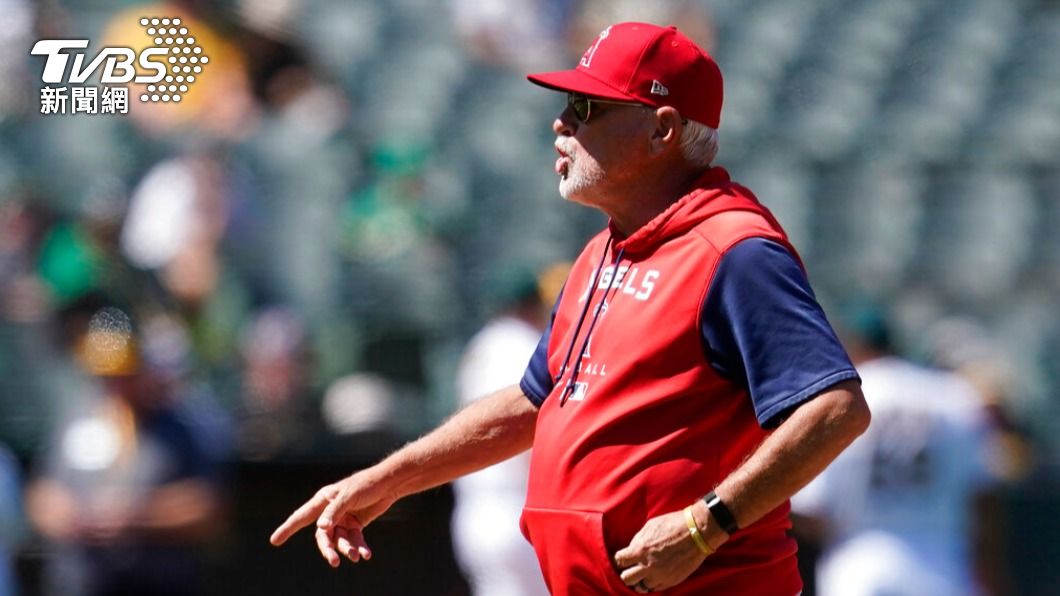 Joe Maddon今年擔任天使隊56場比賽的總教練就被球團開除。（圖／達志影像美聯社）