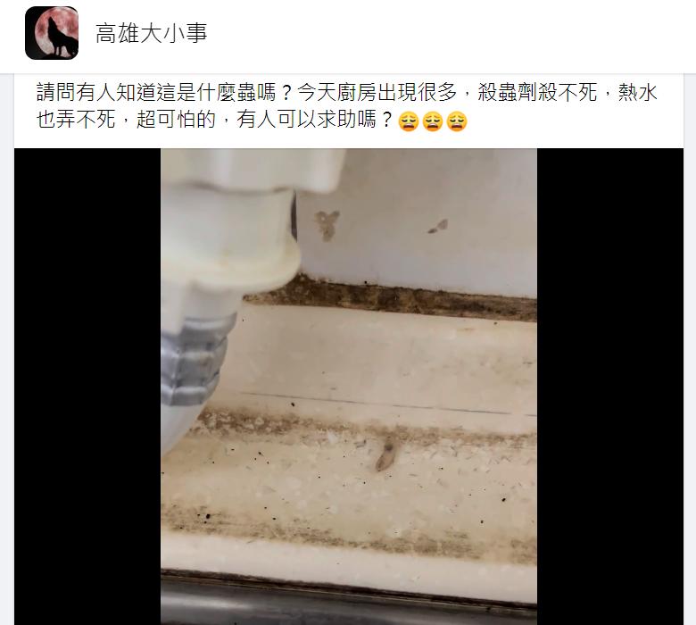 原PO貼文。(圖/翻攝自高雄人大小事)
