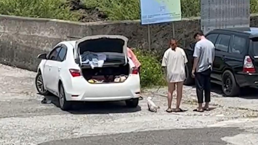 貓咪受不了高溫地面來回奔竄。(圖/翻攝自米克斯傳奇)
