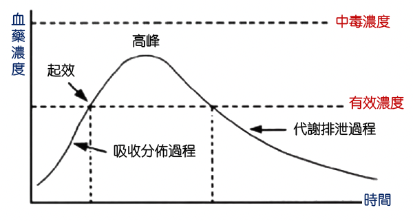 血藥濃度與時間曲線圖。(圖/品新聞提供)