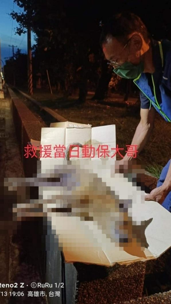 虎斑狗奄奄一息躺在地上。(圖/翻攝自動保法律互助臉書)
