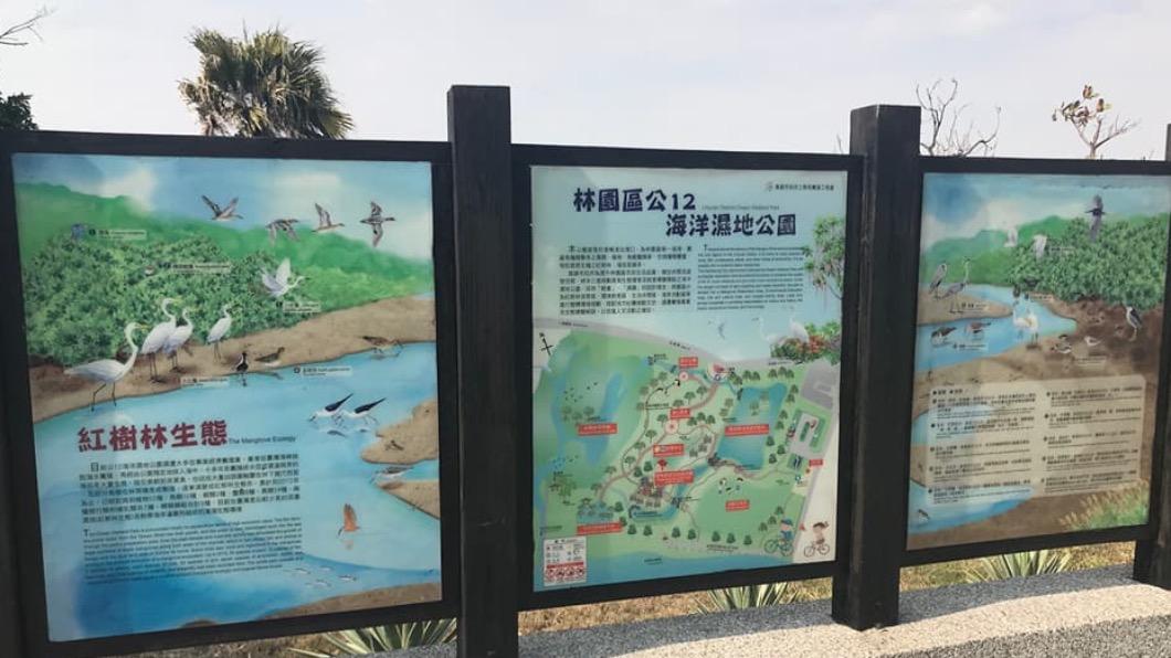 《洄身》移展至林園濕地公園持續展出至7月底。（圖／翻攝自高雄市議員邱于軒臉書）