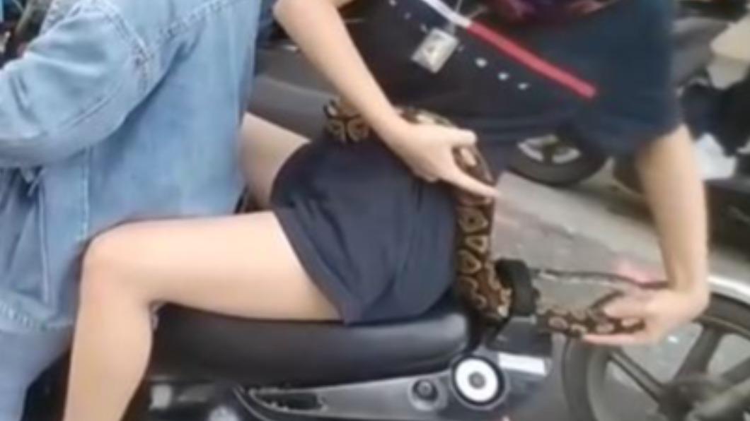 看傻!下半身失蹤辣妹「身纏超粗球蟒」 坐機車帶牠兜風