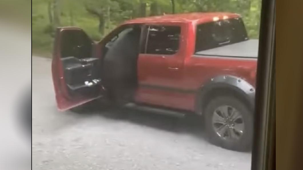 這隻熊有一半的身體都鑽進車內，他最終在中控台內找到了一包巧克力。（圖／翻攝自YT@ViralHog）