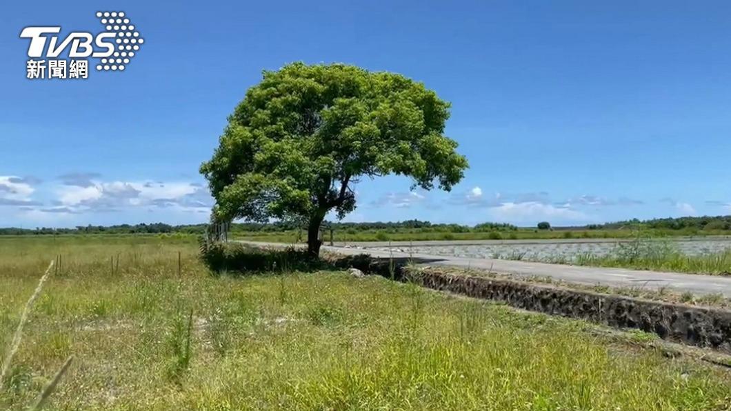 爸爸滿身血！宜蘭伯朗大道隨機割頸2人傷　家屬罵「太殘忍」